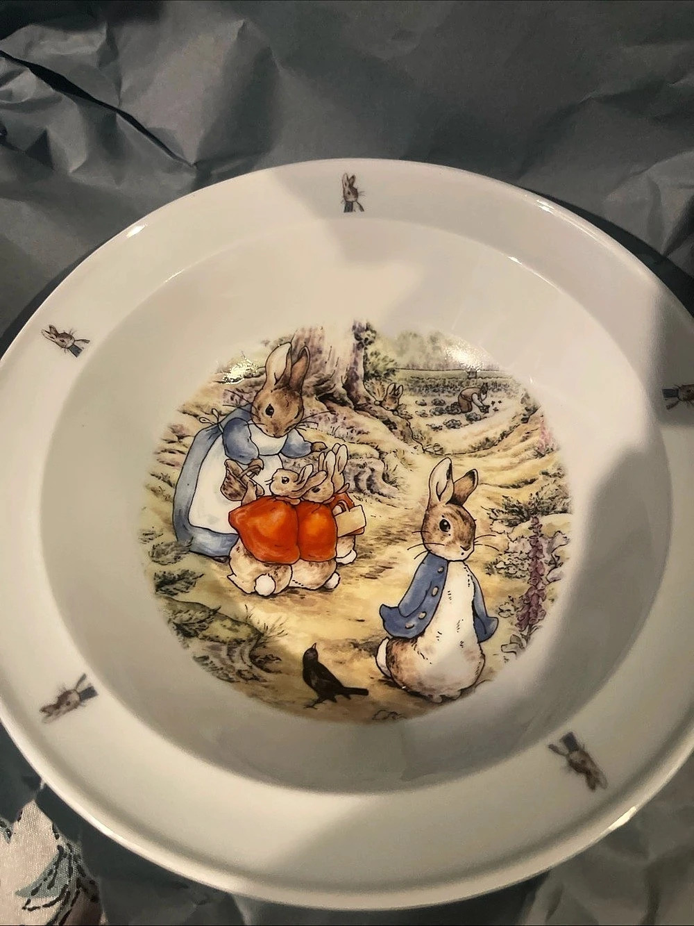Royal Doulton The World of Beatrix Potter Peter Rabbit Porcelain Dinner Plate
